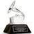Premiile Grammy 2010 vor avea loc mai devreme