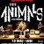 Concert THE ANIMALS la Iasi Concert THE ANIMALS la Iasi