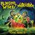 MUNICIPAL WASTE si TOXIC HOLOCAUST lanseaza un split vinil MUNICIPAL WASTE si TOXIC HOLOCAUST lanseaza un split vinil