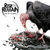 Asculta integral noul album Rise To Remain, City Of Vultures Asculta integral noul album Rise To Remain, City Of Vultures