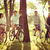 Light Out! - Sylabus (videoclip nou) Light Out! - Sylabus (videoclip nou)