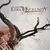 Edge Of Serenity lanseaza un nou single Edge Of Serenity lanseaza un nou single