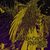 Retrospectiva anilor 2000: Cathedral - Endtyme Retrospectiva anilor 2000: Cathedral - Endtyme