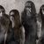Hate - Alchemy Of Blood (piesa noua) Hate - Alchemy Of Blood (piesa noua)