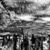 The Devil's Blood s-au destramat The Devil's Blood s-au destramat