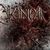 Cronian se reunesc pentru un nou album Cronian se reunesc pentru un nou album