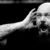 Fostul solist al trupei Iron Maiden, Paul Di'Anno, a fost spitalizat Fostul solist al trupei Iron Maiden, Paul Di'Anno, a fost spitalizat