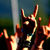 Muzica rock ii face pe barbati sa piarda la boardgames Muzica rock ii face pe barbati sa piarda la boardgames