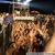 Rockerii au lesinat din pricina caldurii la Rocklahoma Festival Rockerii au lesinat din pricina caldurii la Rocklahoma Festival