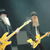 Poze si cronica de la concertul ZZ Top la Sala Polivalenta din Bucuresti Poze si cronica de la concertul ZZ Top la Sala Polivalenta din Bucuresti