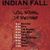Turneul Indian Fall continua! Cluj Napoca in aceasta seara!