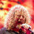 Stairway To Heaven (Led Zeppelin) a devenit hit datorita pauzelor de tigara