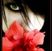 Galerie foto Emonika rose