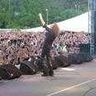 Poze Poze Dio - dio live