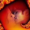 Poze Poze Michael Jackson - michael si lisa mery presley  