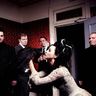 Poze Poze Evanescence - EvAnEsCeNcE