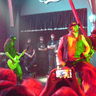 Poze Brujeria, Domination, Total Riot, Rock N Ghena: Concert in Bucuresti la Silver Church (User Foto) - BRUJERIA Live at Silver Church