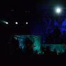 Poze Poze LAKE OF TEARS - poze METALHEAD Meeting 2013, Sept.21