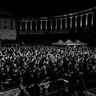 Poze Paradise Lost si Finntroll canta la METALHEAD Meeting 2014 Bis (User Foto) - Public Metalhead Meeting 2014 bis