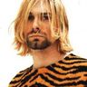 Poze Poze Nirvana - tiger kurt
